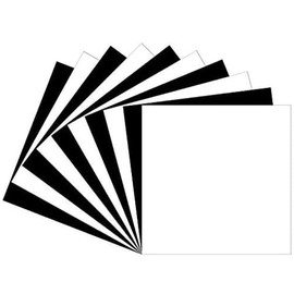 Láminas de vinilo Oracal 651 mate, 10 planas de 30,5 x 30,5 cm en blanco y negro (acabado mate) permanentes para marcas de interiores y exteriores, letras, decoración, gráficos de ventanas, calcomanías de coche, pegatinas