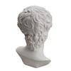 Waldosia 6 Inch Michelangelo's David Bust Statue (White)
