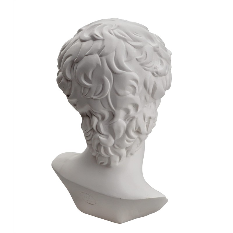 Waldosia 6 Inch Michelangelo's David Bust Statue (White)