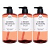 Happybath 해피바스 오리지널 컬렉션 바디워시 체리블로섬 910g X 3개 Happybath