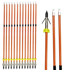 AMEYXGS 6/12pcs Archery Fiberglass Bowfishing Arrow Bow Fishing Arrows with Broadheads and Safty Slides for Compound and Bow Recurve Bow Fishing Hunting (12 pcs)
