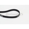Continental 6PK1660 Ribs in Contitech V-Belt