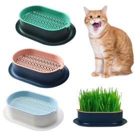 FENGQQKJ Pack of 3 Cat Grass Planter Catnip Cat Grass Box Hydroponics Cat Grass Box Cat Grass Tray Cat Grass Container Cat Grass for Indoor Cats for Planting Cat Grass