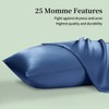 SAKIAO 25 Momme Silk Pillowcase 2 Pack - Silk Pillowcase