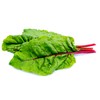 Rhubarb - Swiss Chard Seeds - Non-GMO - 2 Grams,