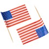 Classic Flag Picks | USA Theme And Design Party Accessories