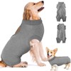 Eyein Dog Bodysuit After Op, Breathable and Comfortable Onesie for