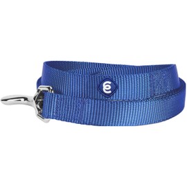 Blueberry Pet Durable Classic Dog Leash 5 ft x 3/8", Marina Blue, X-Small, Basic Nylon Leashes for Puppies