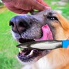 Powerful 2 Pack Dog Break Stick, No Bite Sticks Pitbull