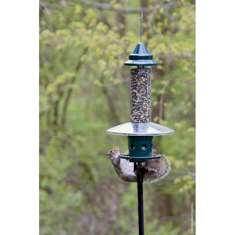 Squirrel Buster Plus Squirrel-proof Bird Feeder w/Cardinal Ring and 6