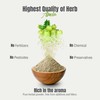 Herbsforever Amla Powder | Phyllanthus Emblica | Rich in Vitamin