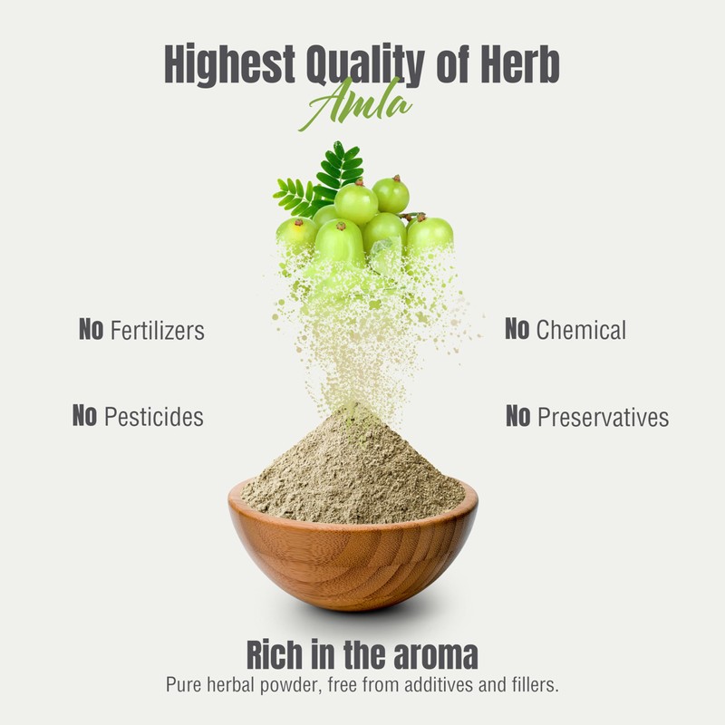 Herbsforever Amla Powder | Phyllanthus Emblica | Rich in Vitamin