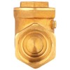 DN25 Female Thread Brass Check Valve Disposable Check Valve 232PSI