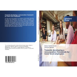 Towards developing a remuneration framework for lower level employees