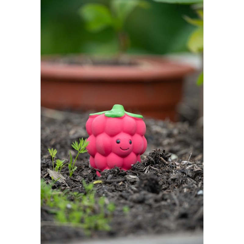 Petface Foodie Faces Latex Raspberry Dog Toy with Built-In-Squeaker, Small