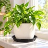 3 Pack Plastic Plant Saucers for Flower Pots – Durable