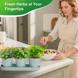 Wacloud Herb Garden Planter Indoor Kit – 6 Metal Pots with 2 Trays for Windowsill & Kitchen Counter – Modern Decorative Indoor Planters for Herbs, Succulents & Small Plants, Mint