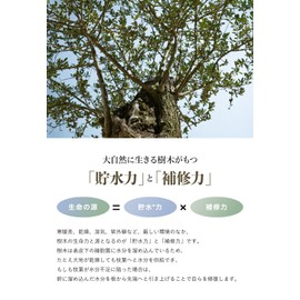 By Trees Moisturizing / Glossy Shampoo 15.9 fl oz (450 ml) byTREES Hair Care, Moisturizing, Skin Care, Moisturizing, Repairing Ingredients, Swelling, Skin, Hair (Uru Moist )