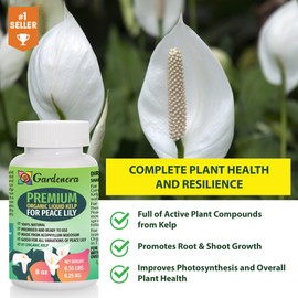 Organic Peace Lily Elixir by Gardenera - 32 oz - Premium Liquid Kelp Fertilizer for Enhancing Peace Lily Growth