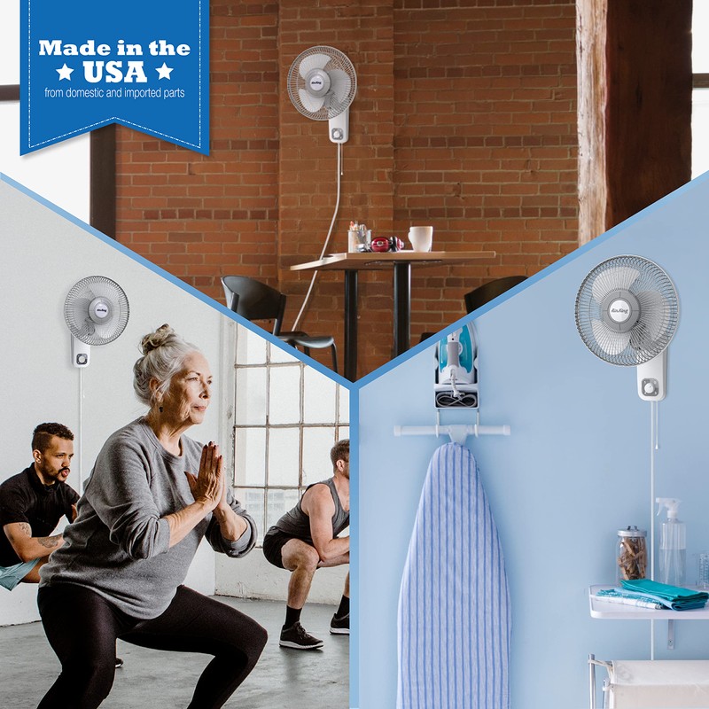 Air King 9012 Commercial Grade Oscillating Wall Mount Fan, 12-Inch