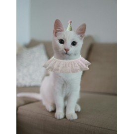 Mokburrim Cat Birthday Party Supplies Birthday Hat with Bib Bandana Set for Small Dogs Princess Costume Decoration Outfit for Pets Kitten(Pink Flower)