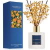 COCORRÍNA Reed Diffuser - Sweet Orange & Cedar 6.7 Fl.oz