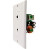 Earthquake Sound IWS Stereo Balanced in-Wall Pre-amp | Power Over