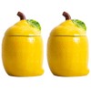 WK WENKRYGDN Lemon Kitchen Canisters Set of 2 Decorative Ceramic