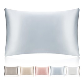 SILKTALE 100% Mulberry Silk Pillowcase with Hidden Zipper,Both Sides Pure Silk Breathable Pillow Case for Hair and Skin,19 Momme Grade 6A,1pc,Light Blue,Queen Size 20x30 Inches
