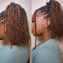 FASHION IDOL Kinky Curly V Bulk Human Hair for Twist Braids Dreadlock Extensions Loc Repair Afro Kinky Curly Human Hair for Braiding 3 Bulk 3oz