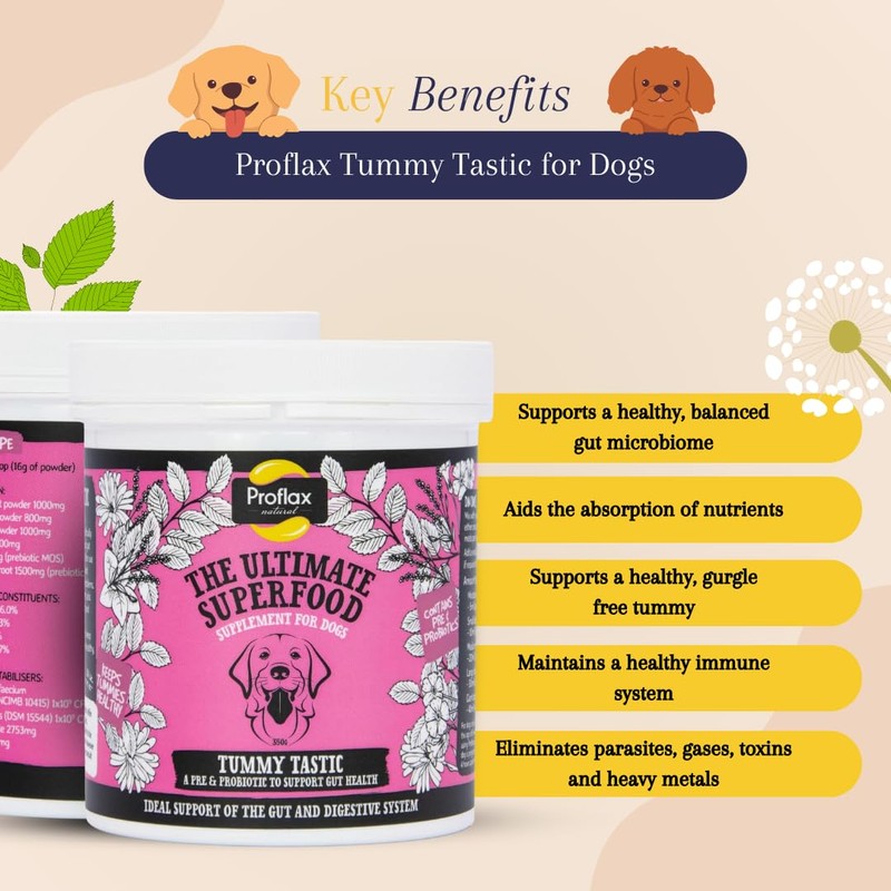 Proflax Natural - Tummy Tastic Supplement 700g - Dog Supplements