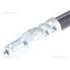 Triscan 8150 11212 Brake Hose