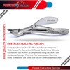 PRECISE CANADA: Dental EXTRACTING Forceps #150 1/2S PC