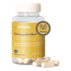 Focus Nootropicos Melena De Leon Bacopin L Glutamina Moods