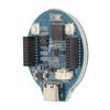 RP2040 MCU Board 1.28in LCD RP2040 Chip 133MHz 264KB SRAM