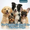 MoonyMars Small Dog Toothbrush, Puppy & Cat Tooth Brushing Kit,