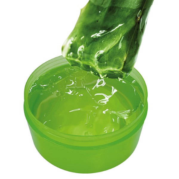 Top Face Aloe Vera 100% Smoothing & Moisture Gel, 10.6