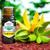 ARO+ Aceite Esencial de Ylang Ylang Natural Puro Aromaterapia