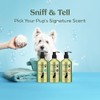 Pawfume Dog Shampoo and Conditioner – Hypoallergenic Dog Shampoo for
