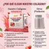 Windboss Péptidos De Colágeno Ácido Hialurónico 30 Sachets