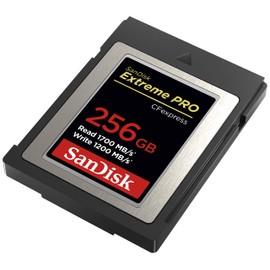 SanDisk 256GB Extreme PRO CFexpress Card Type B - SDCFE-256G-GN4IN