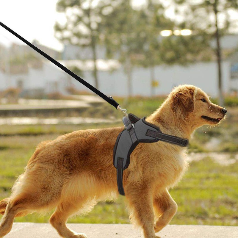 FUNKEEN PET HOUSE Adjustable Soft Padded Harness - No Pull