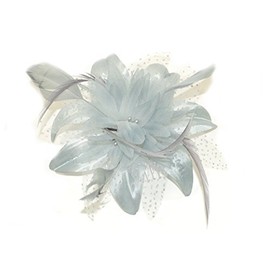 Bride Boutique Wedding Races Prom Feather & Net Flower Design Hair Comb Fascinator (Silver Grey)