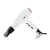 Gem Force Intense Ionic Ceramic Science Hair Dryer (White)