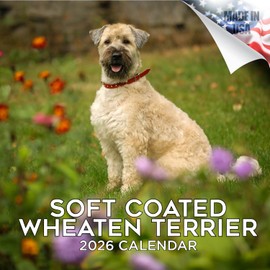 2025 2026 Softcoat Wheaten Terrier Calendar - Dog Breed Monthly Wall Calendar - 12" x 24" Open - Thick No-Bleed Paper - Giftable - Academic Teacher's Planner Calendar Organizing & Planning - Made in USA