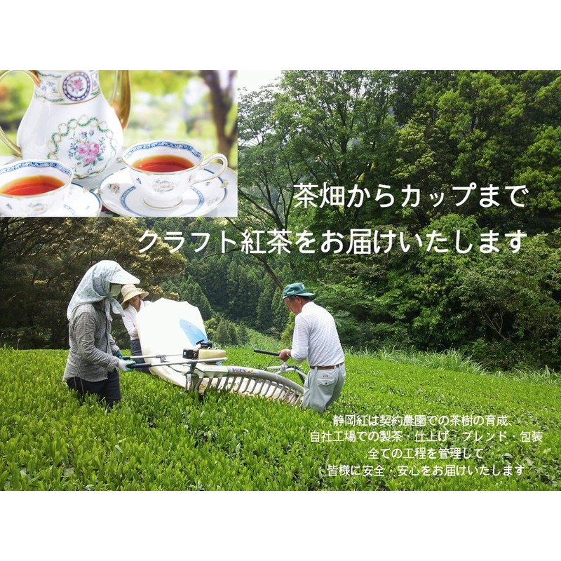 Shizuoka Tea Kawane 2.1 oz (60 g) Can