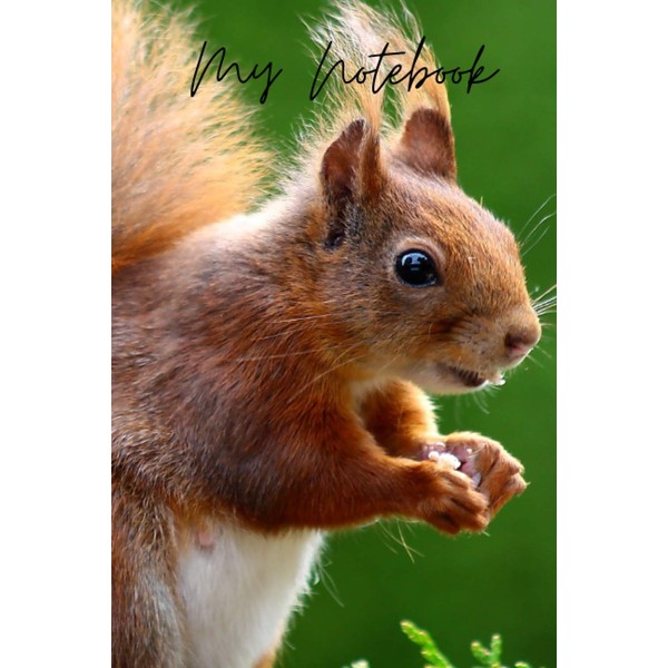 My Notebook: Cute squirrel journal/ notebook. Perfect for school, work,