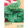 Spinach Seeds America by Country Value