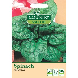 Spinach Seeds America by Country Value