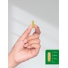 Horbäach Berberine with Ceylon Cinnamon | 2000mg | 120 Veggie
